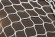 Сетка заградительная 35x35, 3мм (ПА)