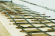 Сетка базальтовая 1x50м, 30/30 кН/м, 25х25мм
